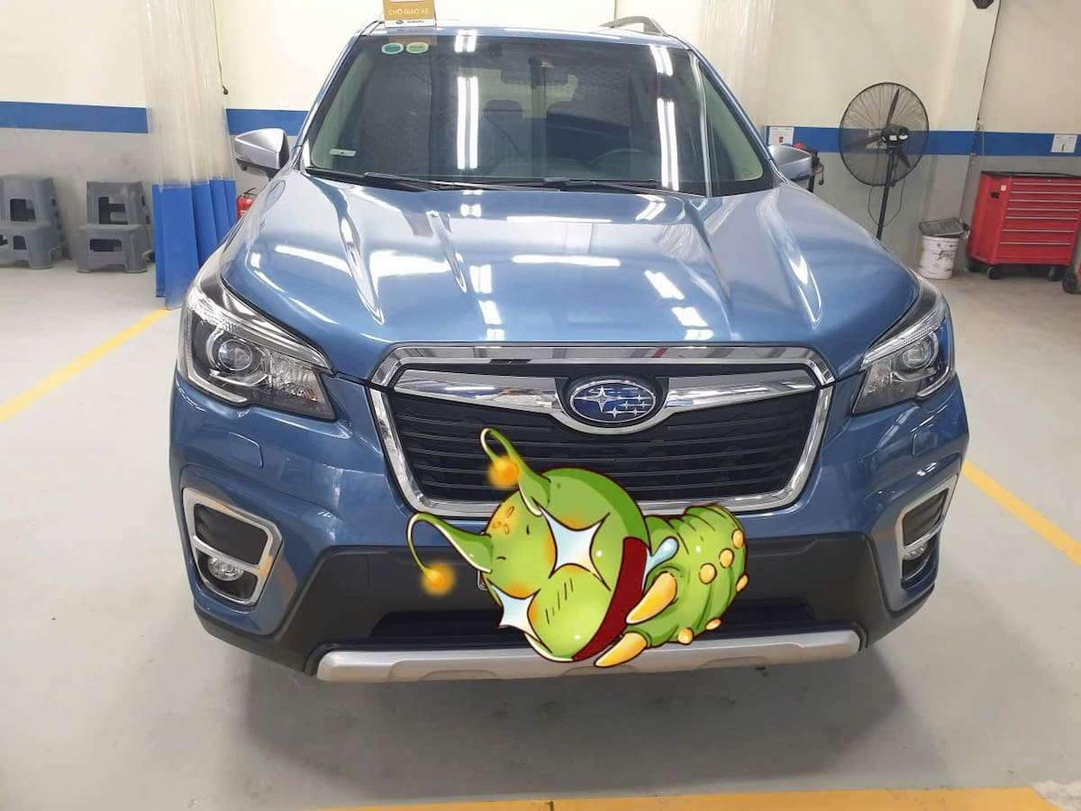 Subaru Forester sx 2019 đk 2020