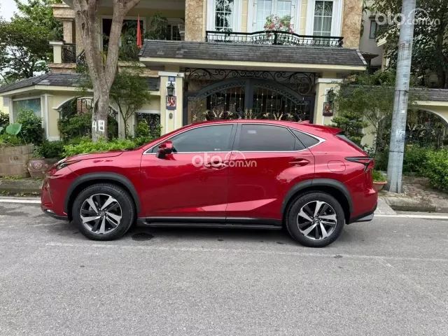 Lexus NX 300 T 2019