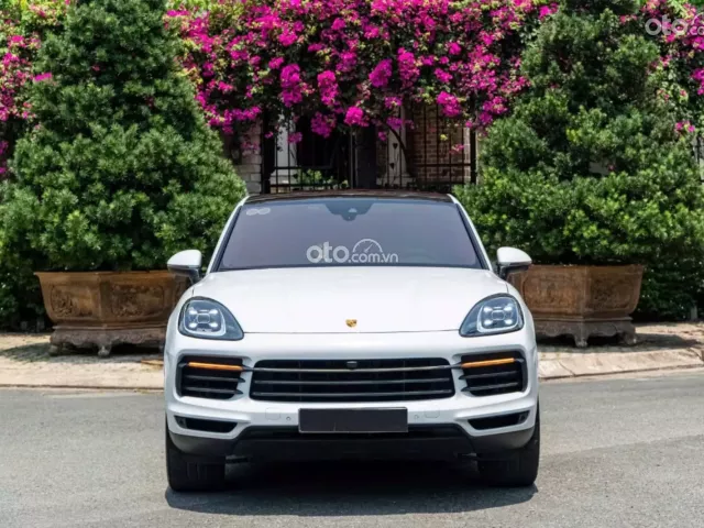 Porsche Cayenne Platinum Edition 2022