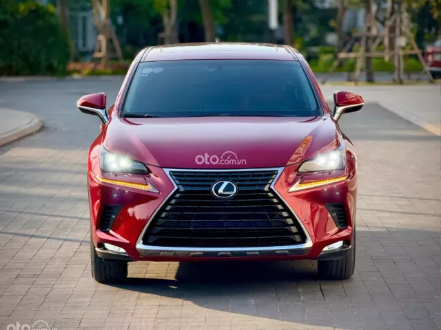 Lexus NX 300 T 2019