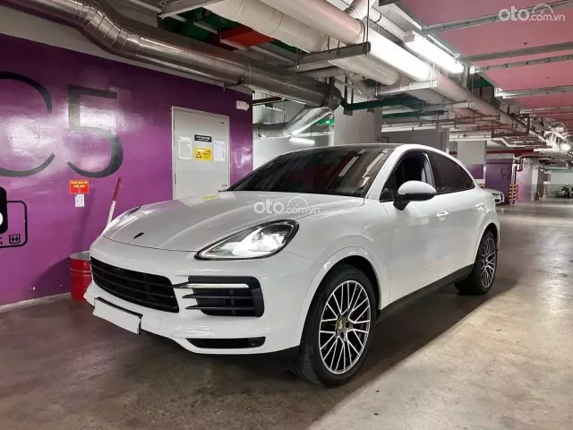 Porsche Cayenne Platinum Edition 2022